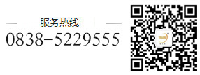四川OD真人设备有限公司【官网 】